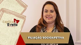 Explica Direito Filiação Socioafetiva  2019 [upl. by Codie307]