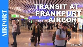 TRANSIT WALK AT FRANKFURT Airport FRA Terminal 1  Connection Flight Transfer Arriving amp Departing [upl. by Eittak]